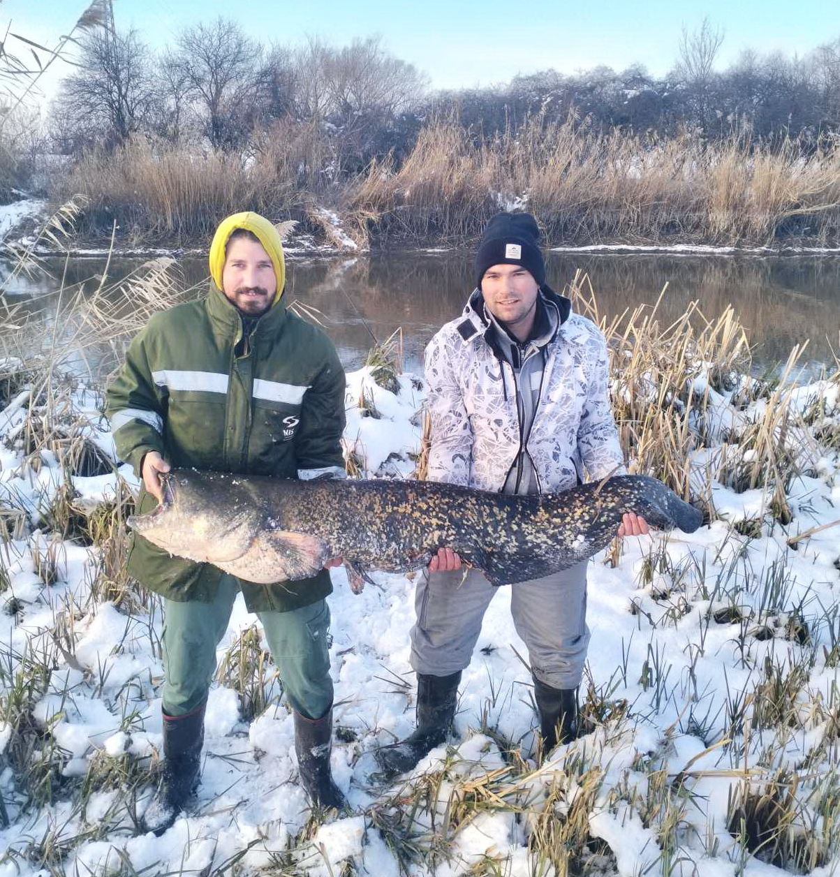 Som kapitalac upecan na Begeju u Torku
