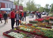 Prolećni festival cveća u Žitištu