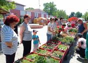 Jesenji festival cveća u Žitištu