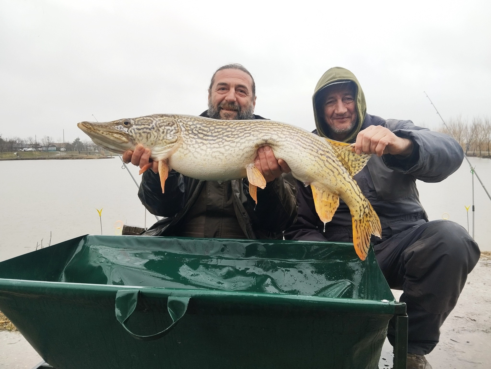 ULOV GODINE: U Banatskom Karađorđevu upecana štuka 8.25 kg