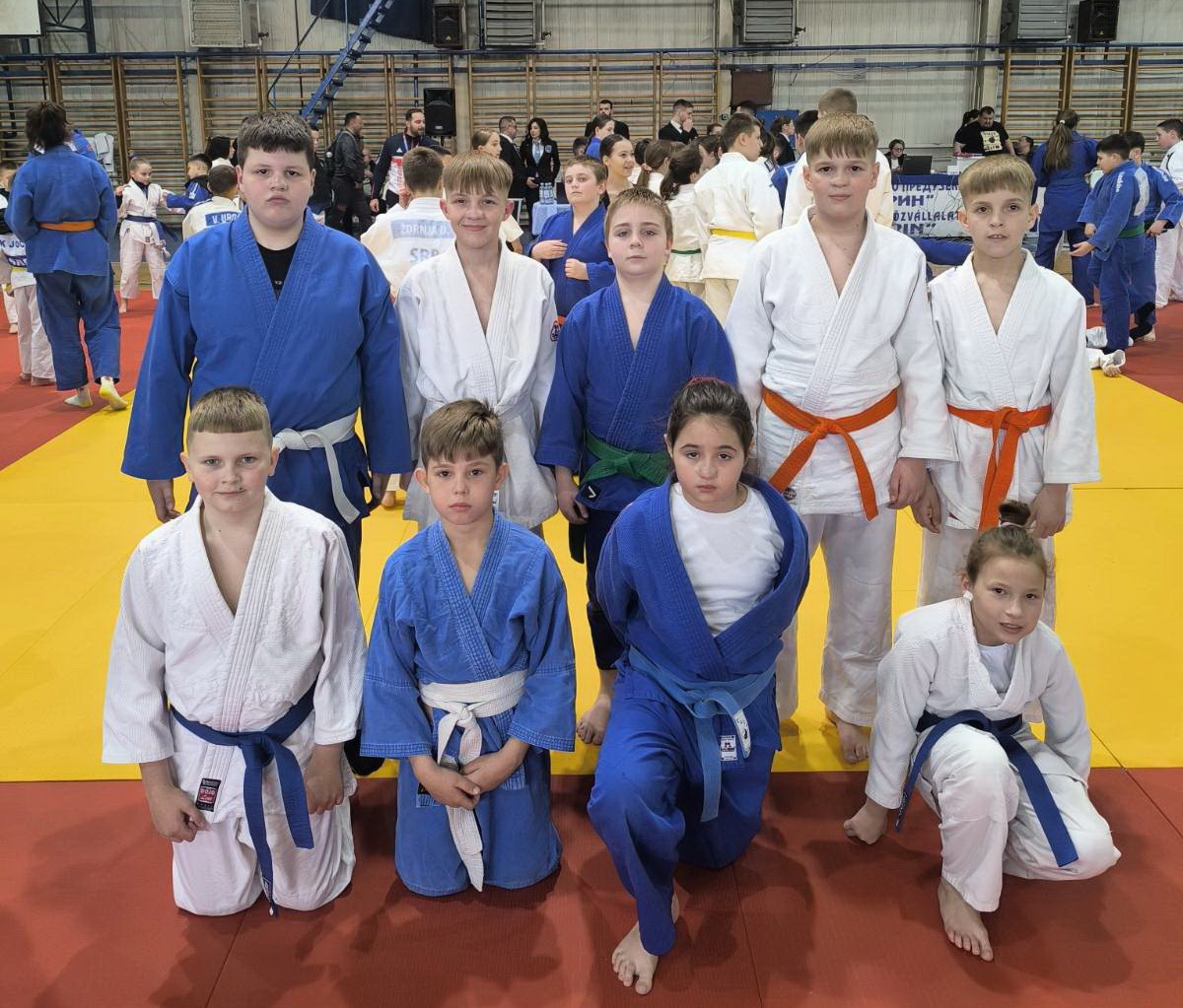 Džudisti Banata uspešni na turniru u Temerinu